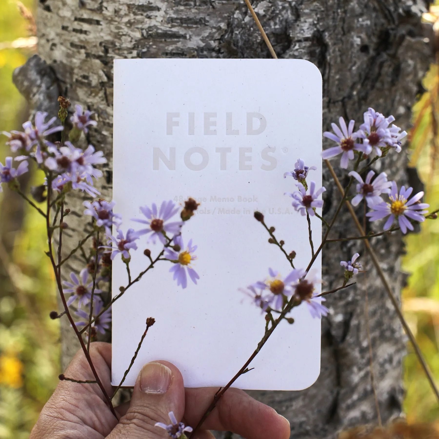 Field Notes Fall Limited Edition Notebooks [Birch Bark]