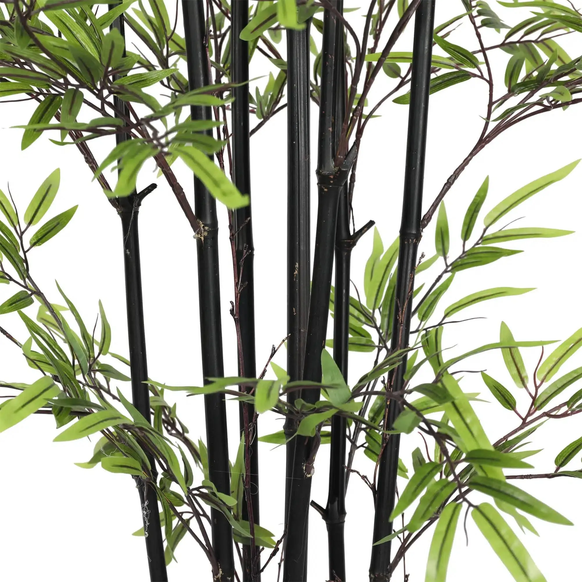 Premium Dense Artificial Black Bamboo 180cm