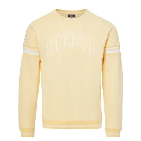 'Sunkissed' PUFF Stripe Crewneck Sweatshirt